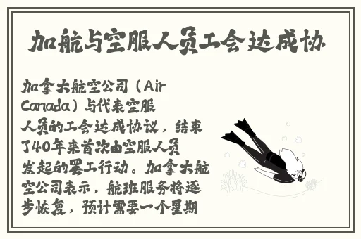 小恩雅透明内抹油好用吗
